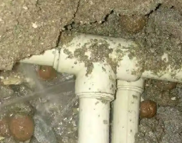 宝坻测漏水多少钱